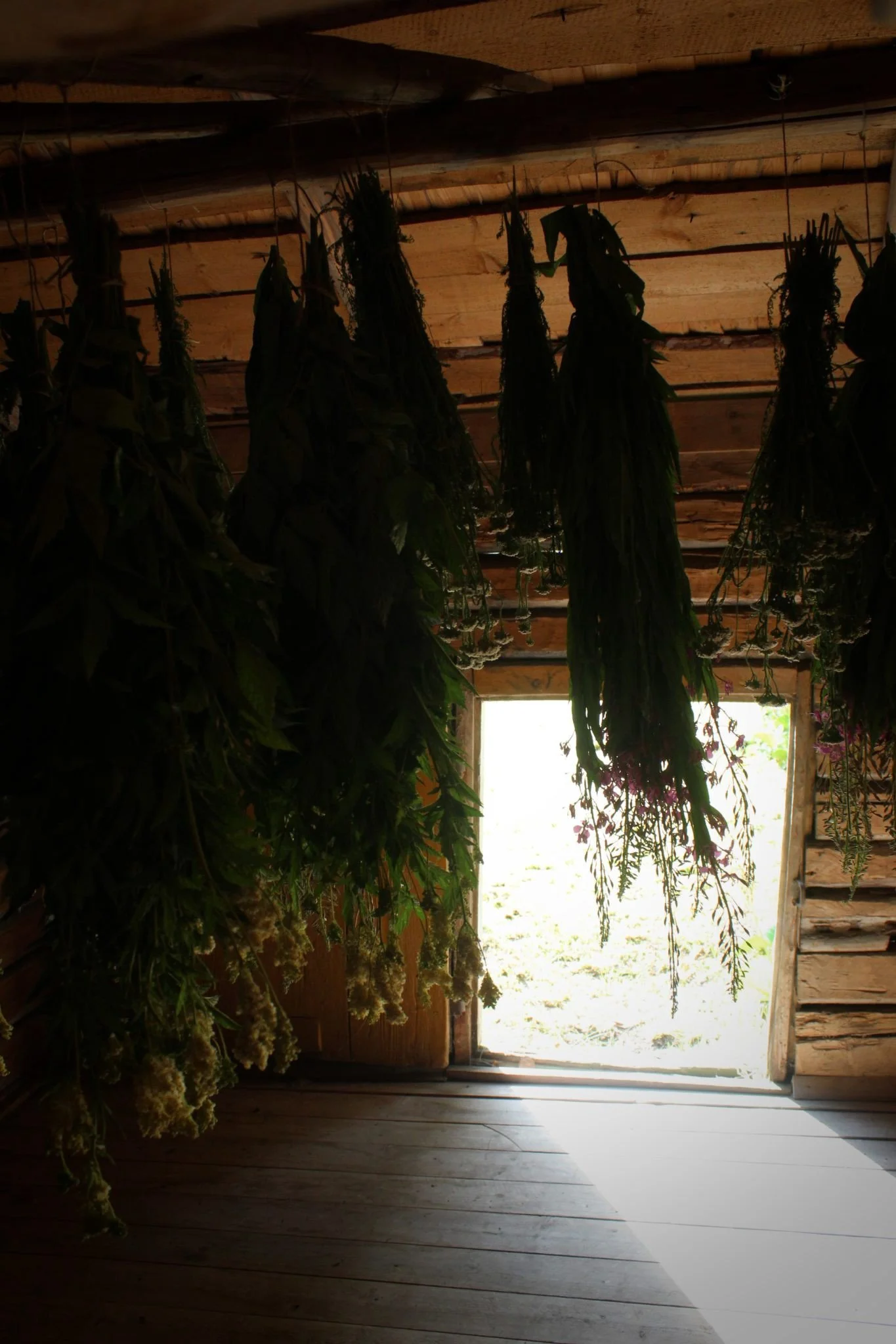 The Perennial Nature of the Relationships That Matter