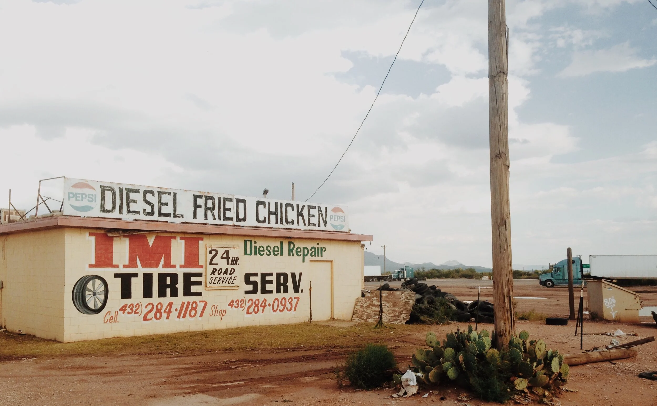 texasfriedchicek.JPG