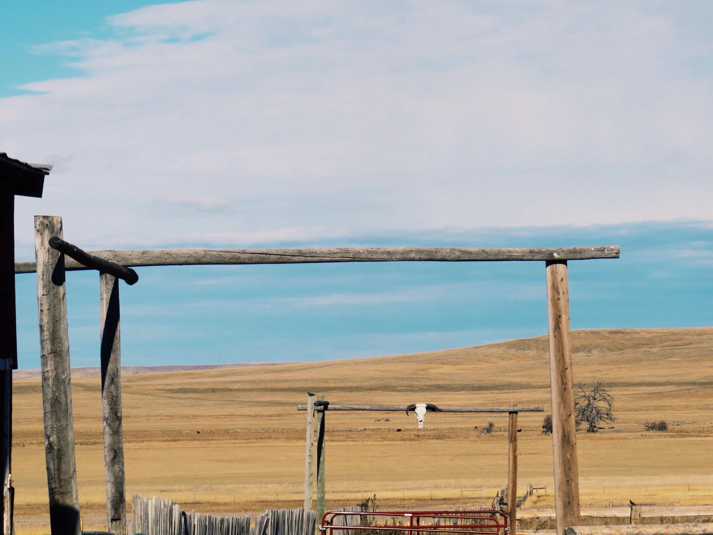ranchwithskull.JPG