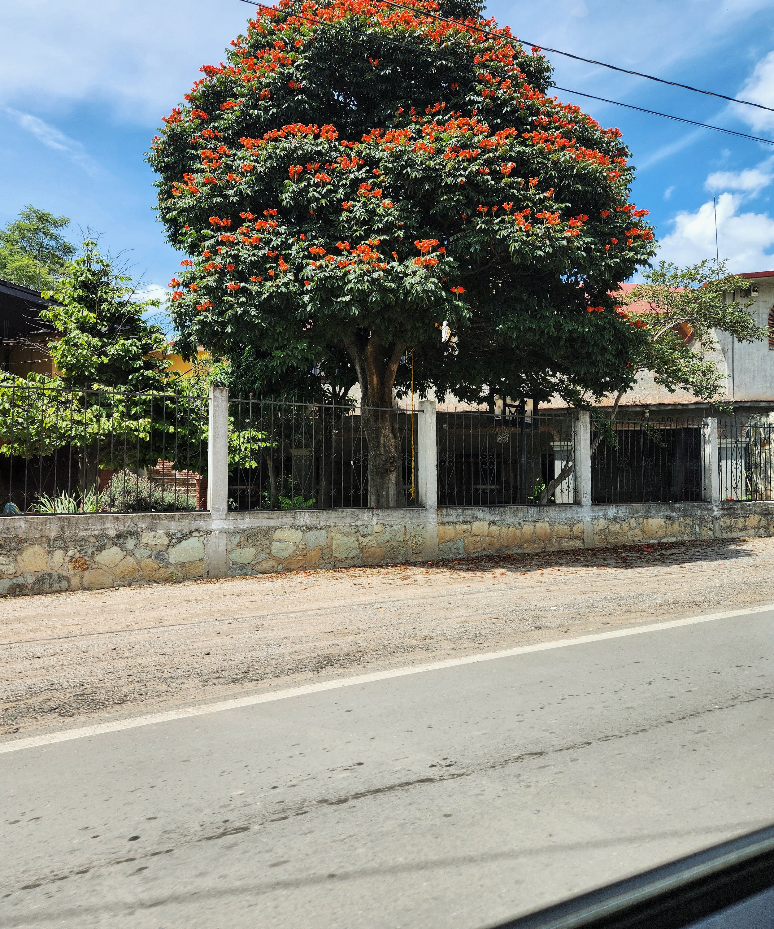 20251003_115551 (1).jpg