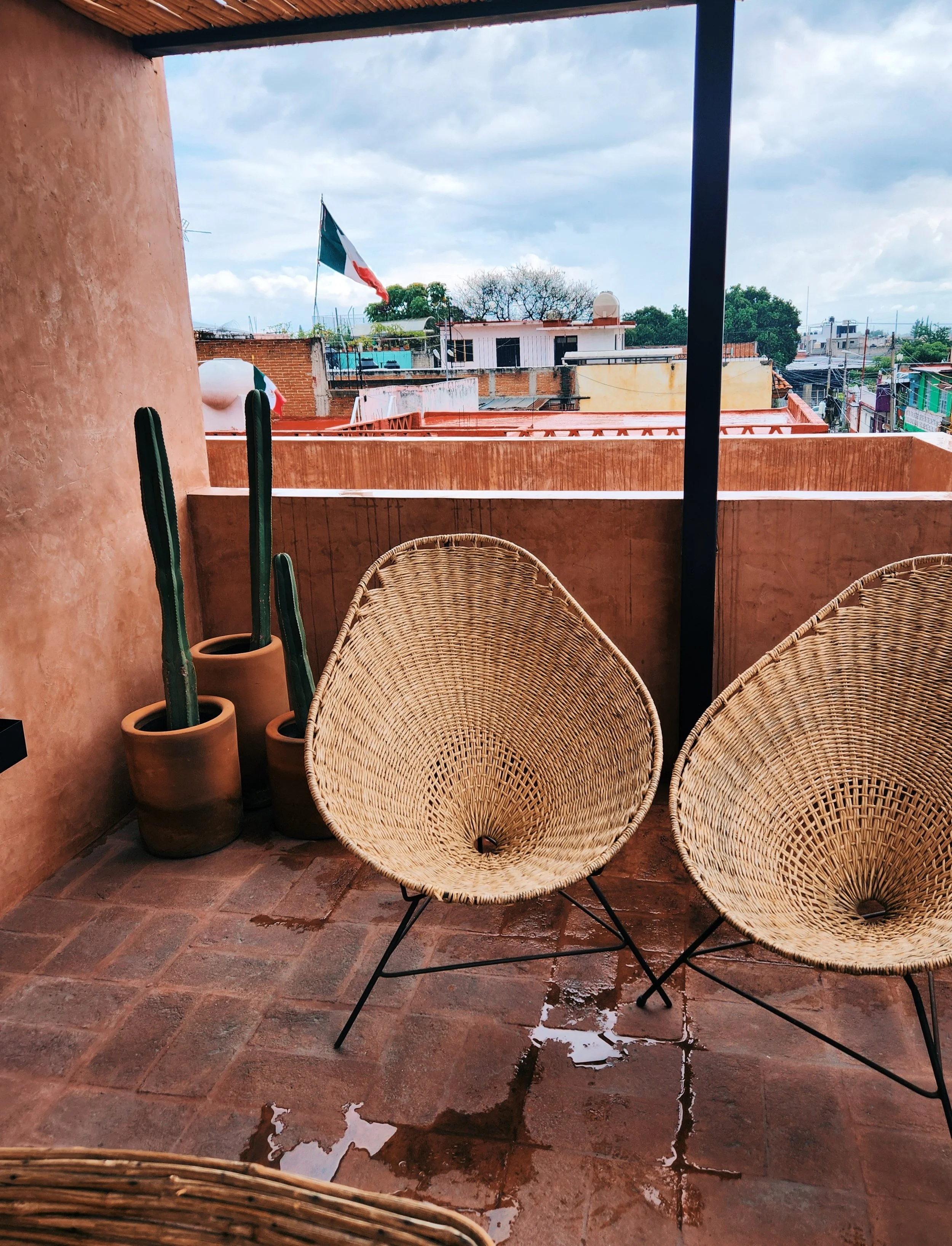 20250929_150136 (1).jpg