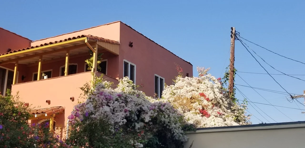 20210511_173754 1.jpg