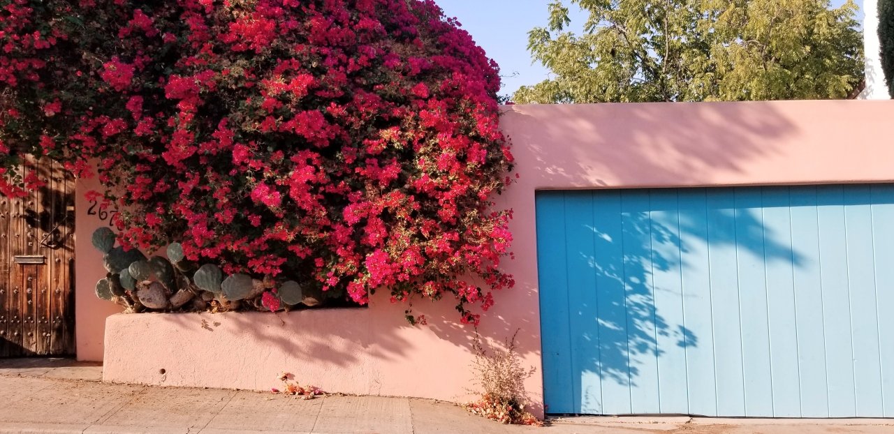 2020-10-11-044819708 1.jpg