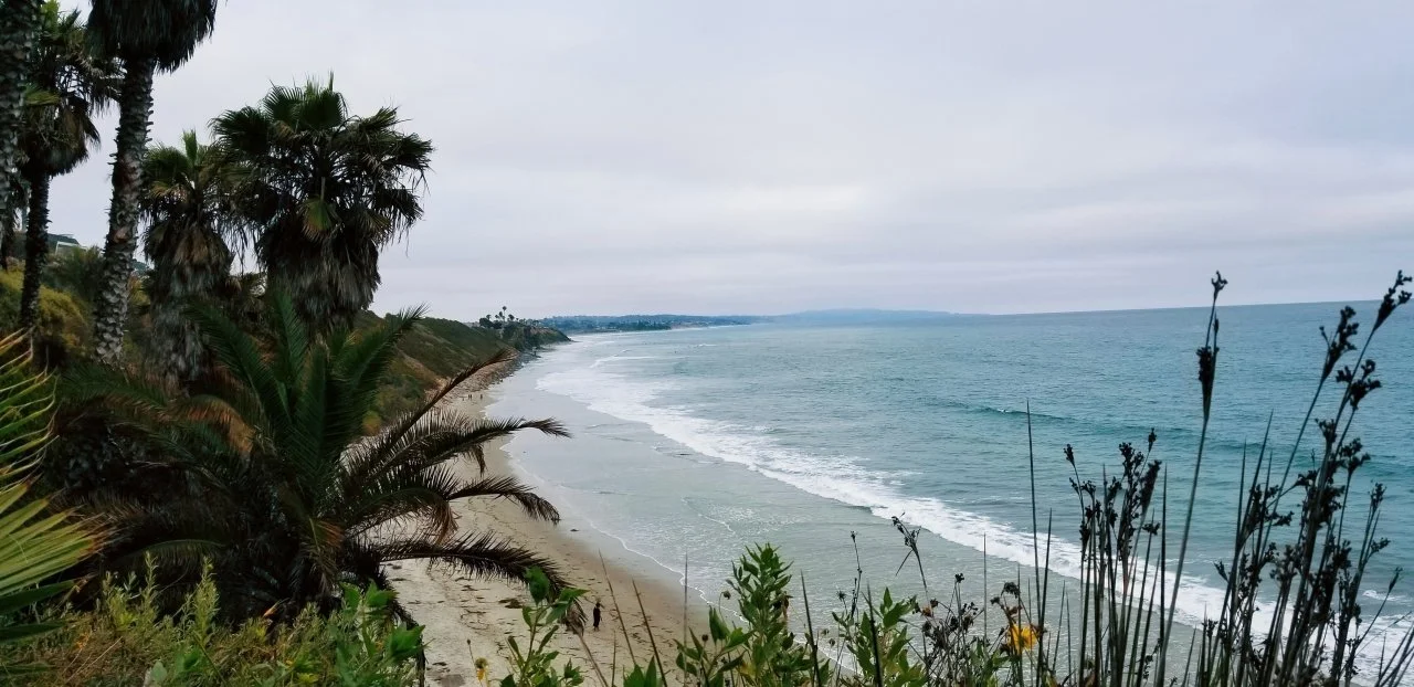 2021-06-29-113027582 1.jpg