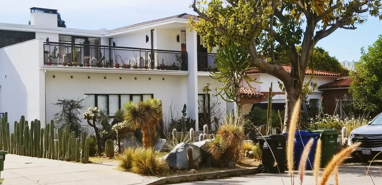 2021-03-08-080603977 1.jpg