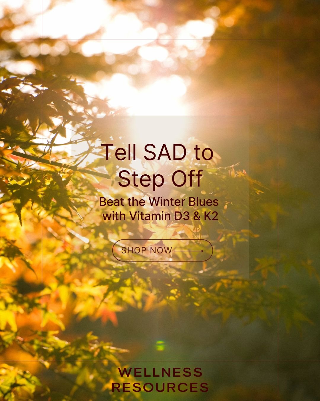 REFORM - Social Media Kit by Studio Dara (12).jpg