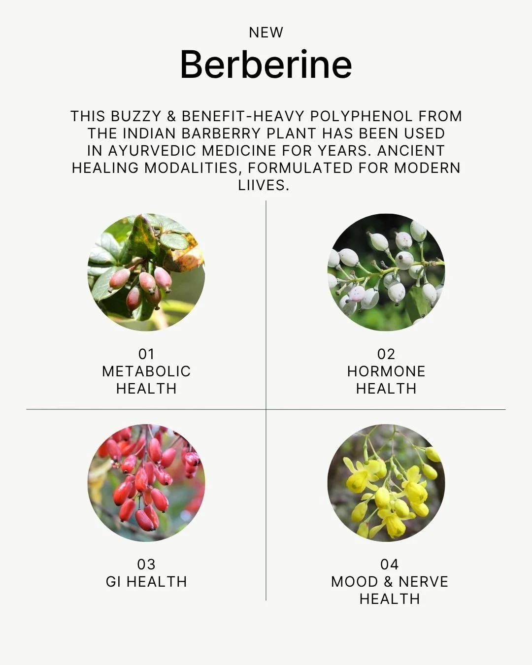 REFORM - Social Media Kit by Studio Dara (105).jpg