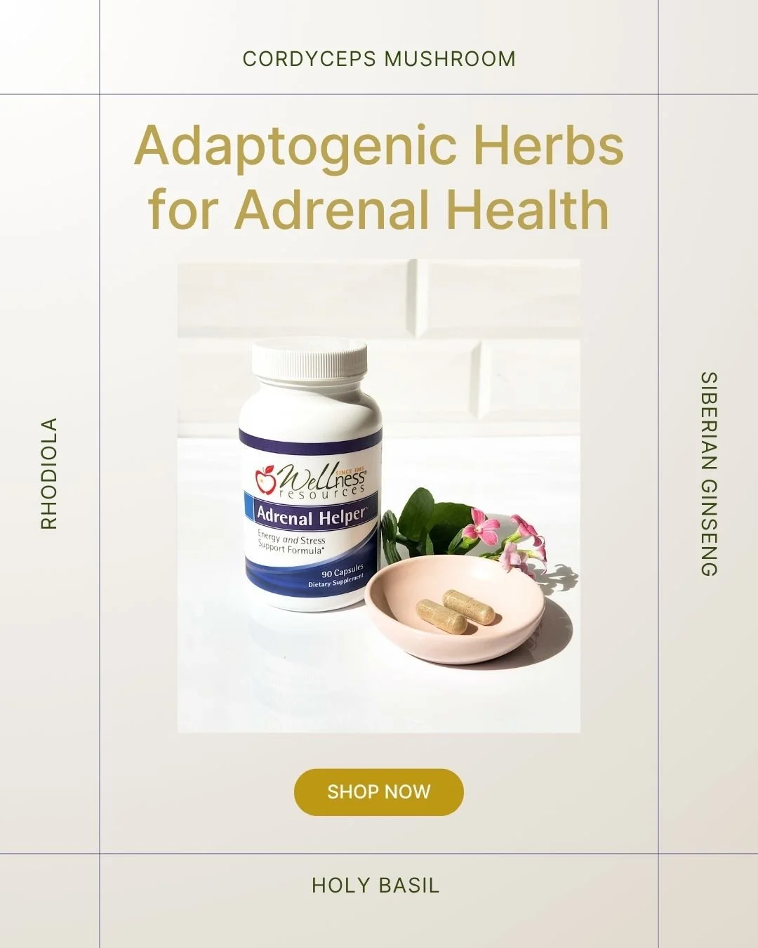 REFORM - Social Media Kit by Studio Dara (109).jpg