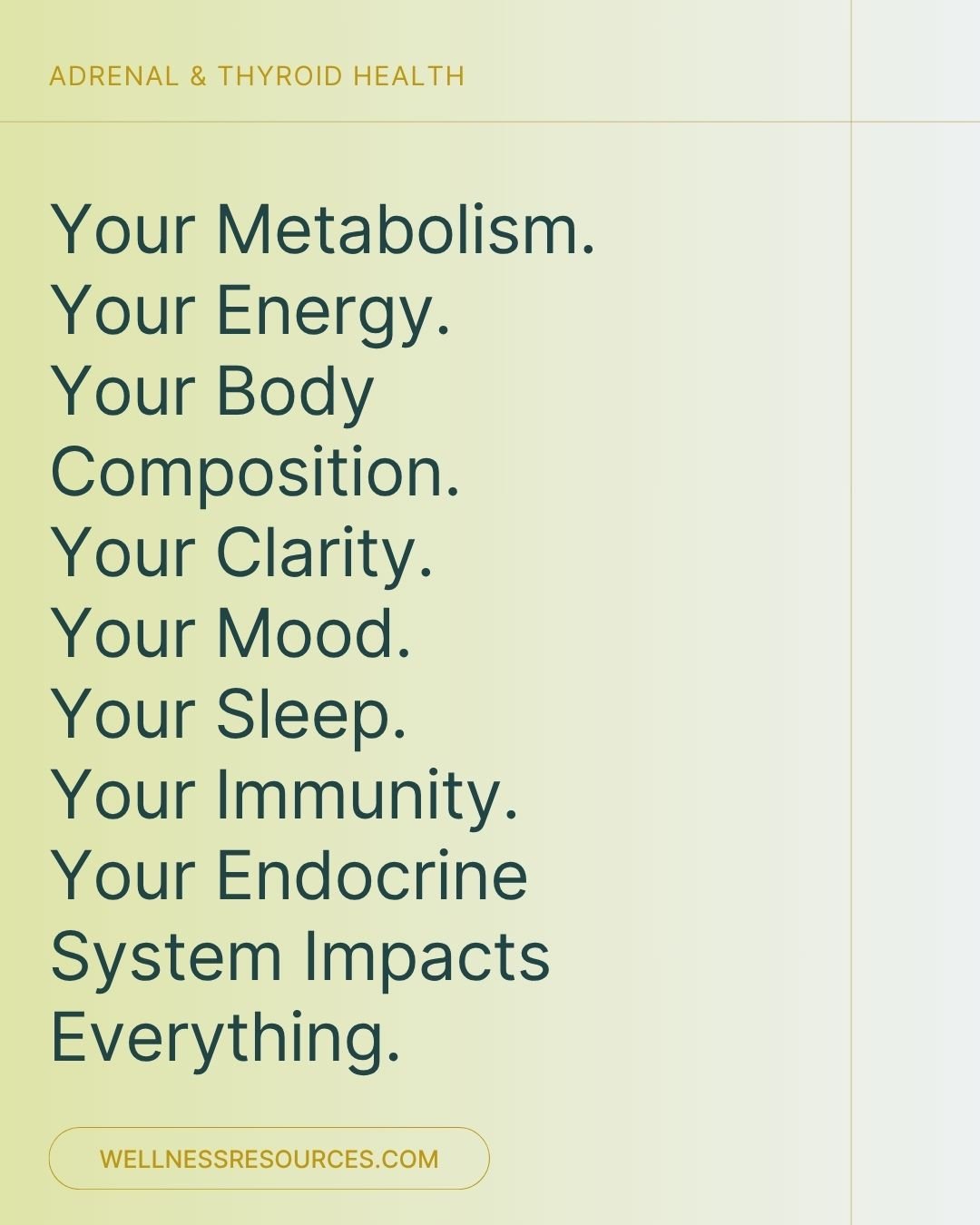 REFORM - Social Media Kit by Studio Dara (111).jpg