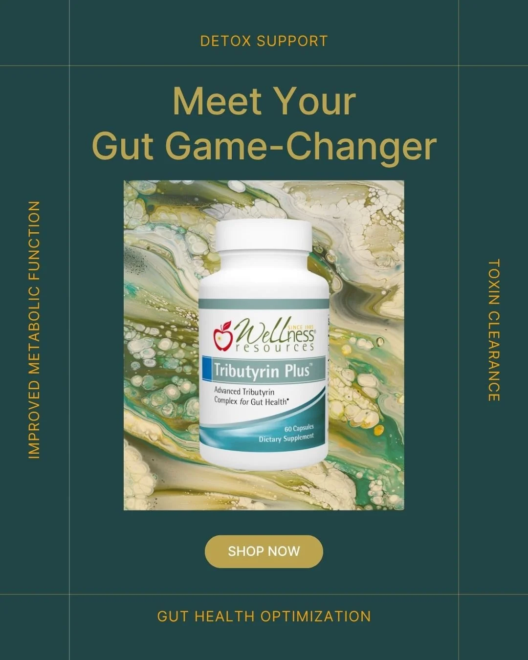 REFORM - Social Media Kit by Studio Dara (108).jpg