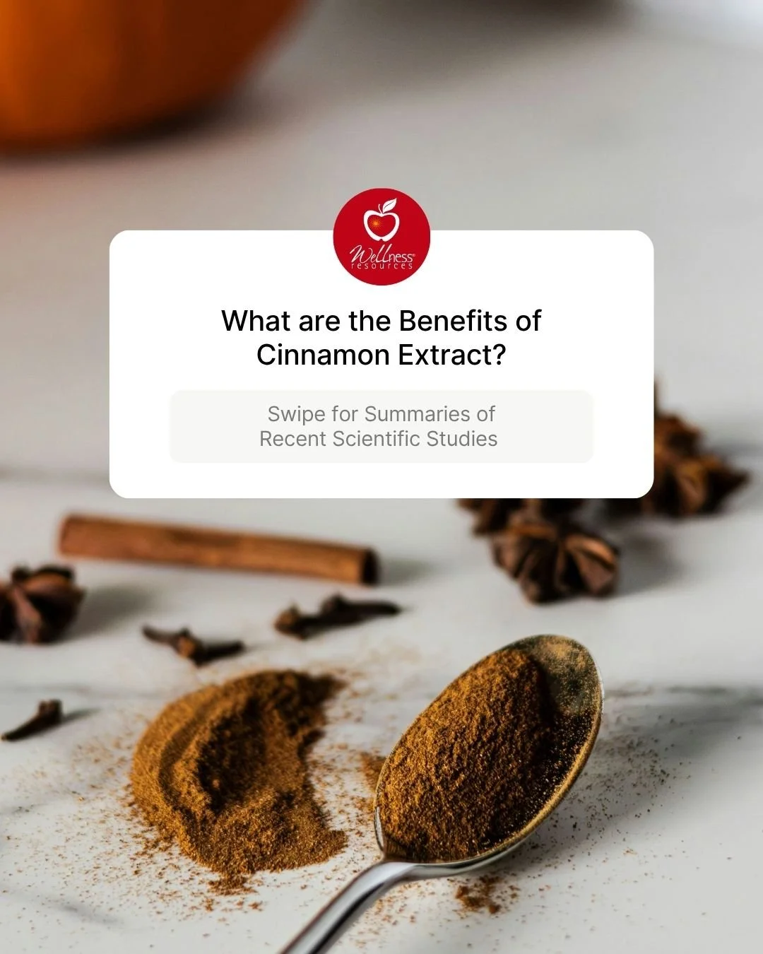 REFORM - Social Media Kit by Studio Dara (126).jpg