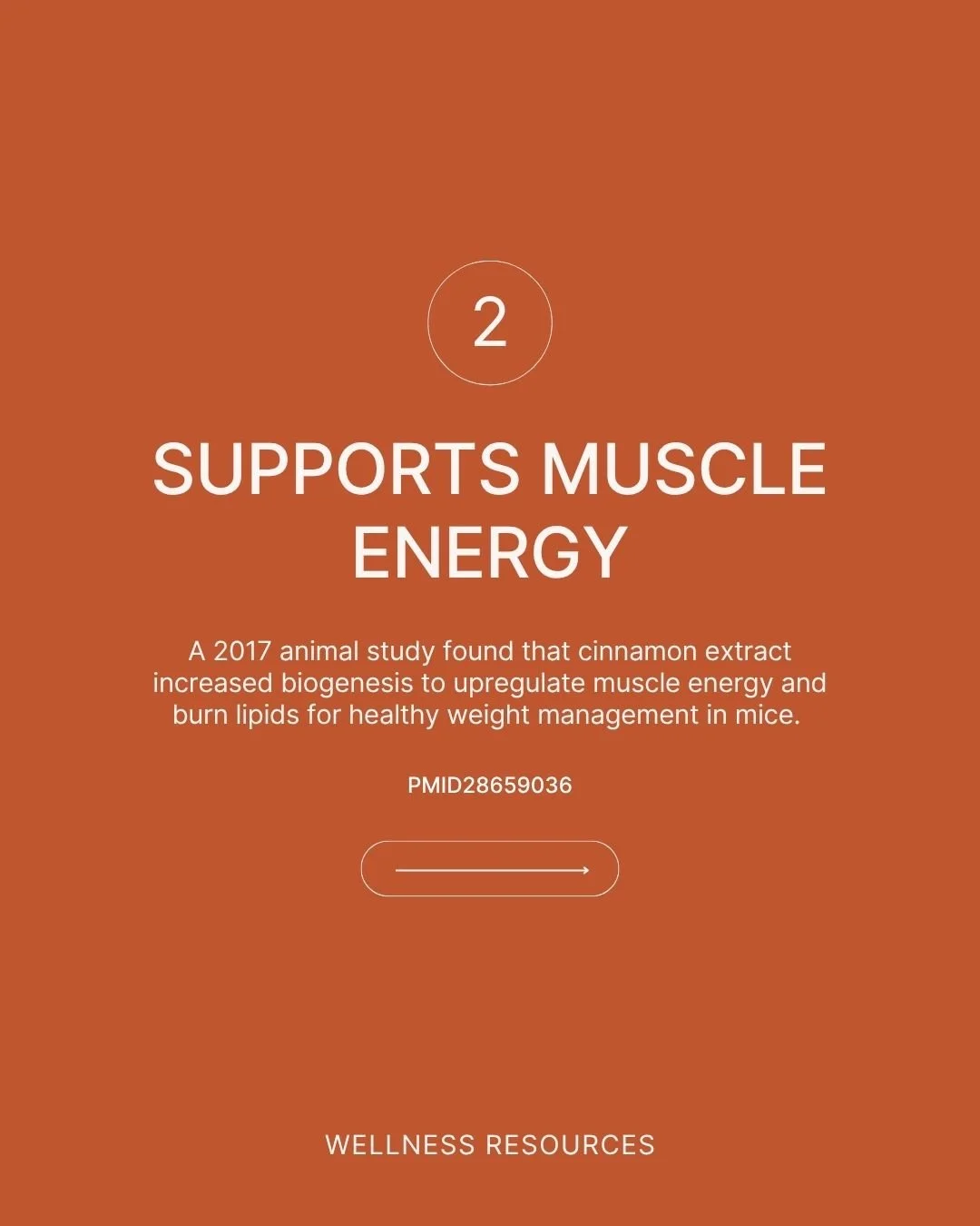 REFORM - Social Media Kit by Studio Dara (128).jpg