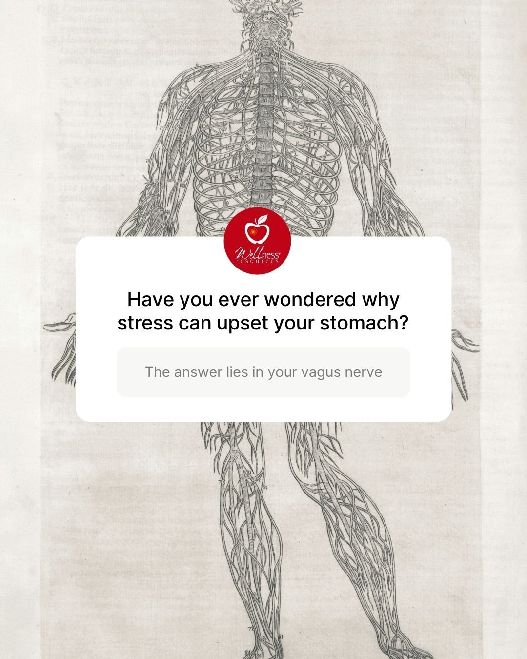 REFORM - Social Media Kit by Studio Dara (13).jpg