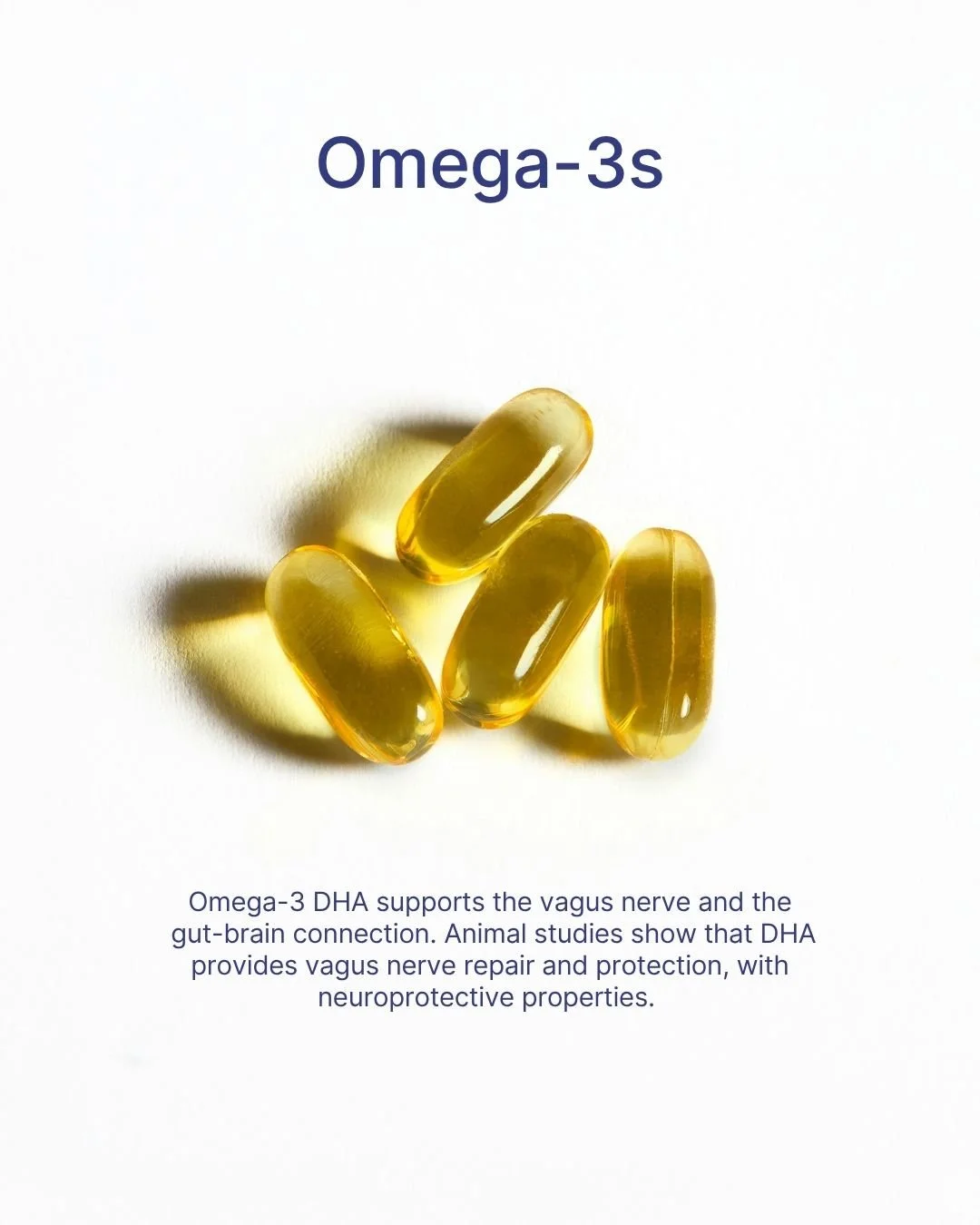 REFORM - Social Media Kit by Studio Dara (17).jpg