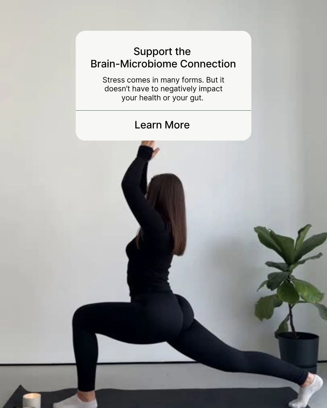 REFORM - Social Media Kit by Studio Dara (18).jpg