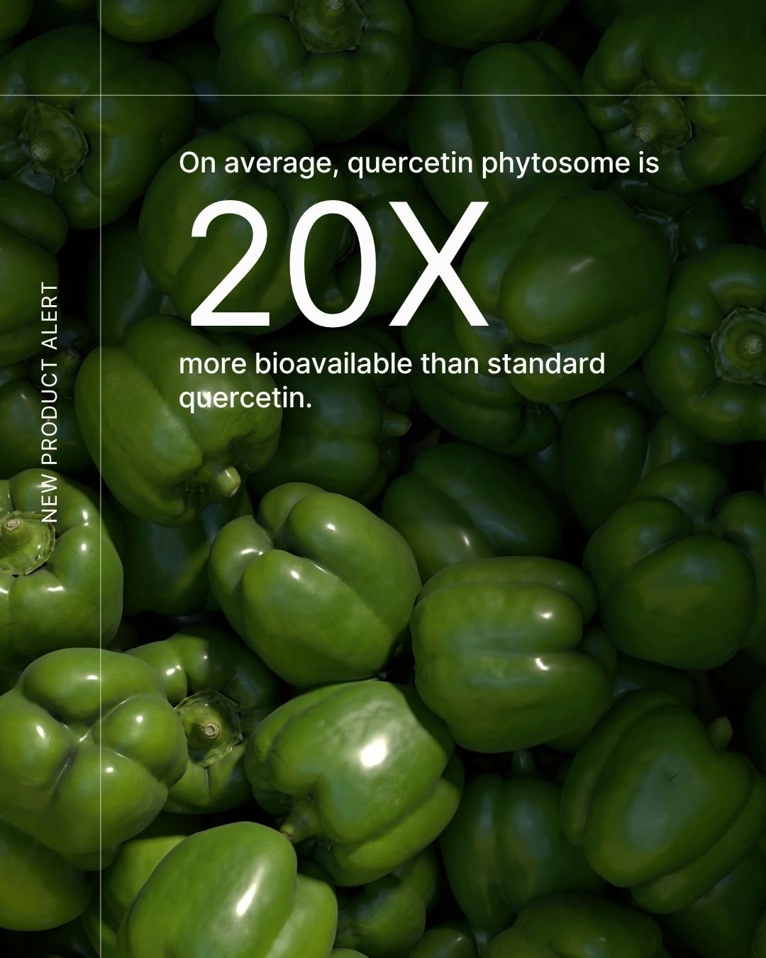 REFORM - Social Media Kit by Studio Dara (136).jpg