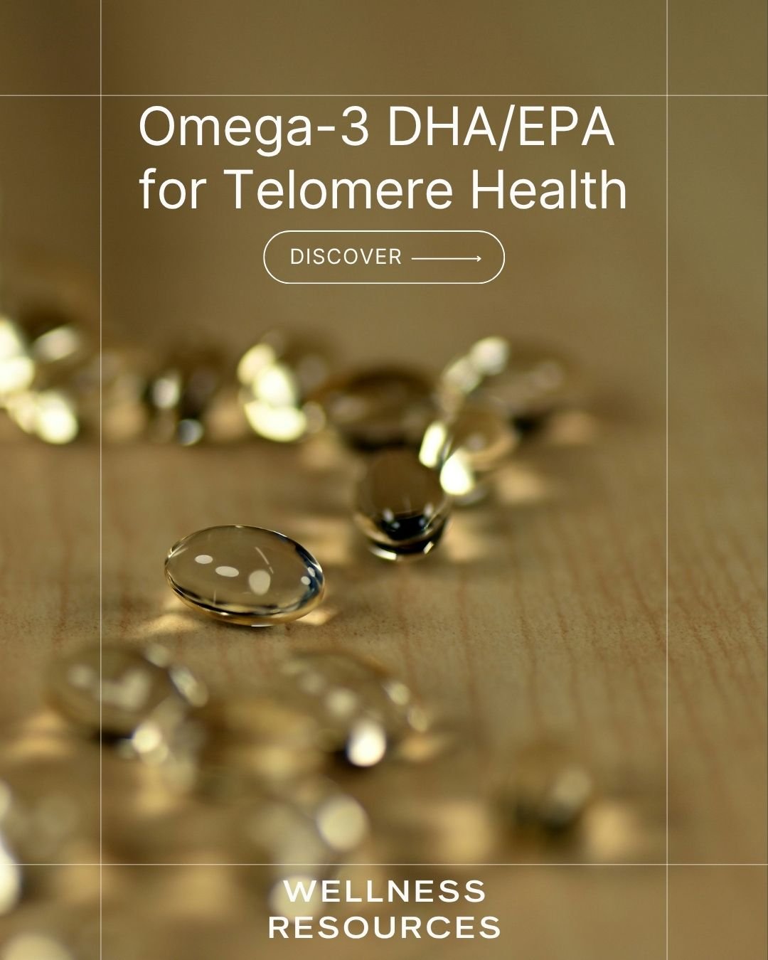 REFORM - Social Media Kit by Studio Dara (19).jpg