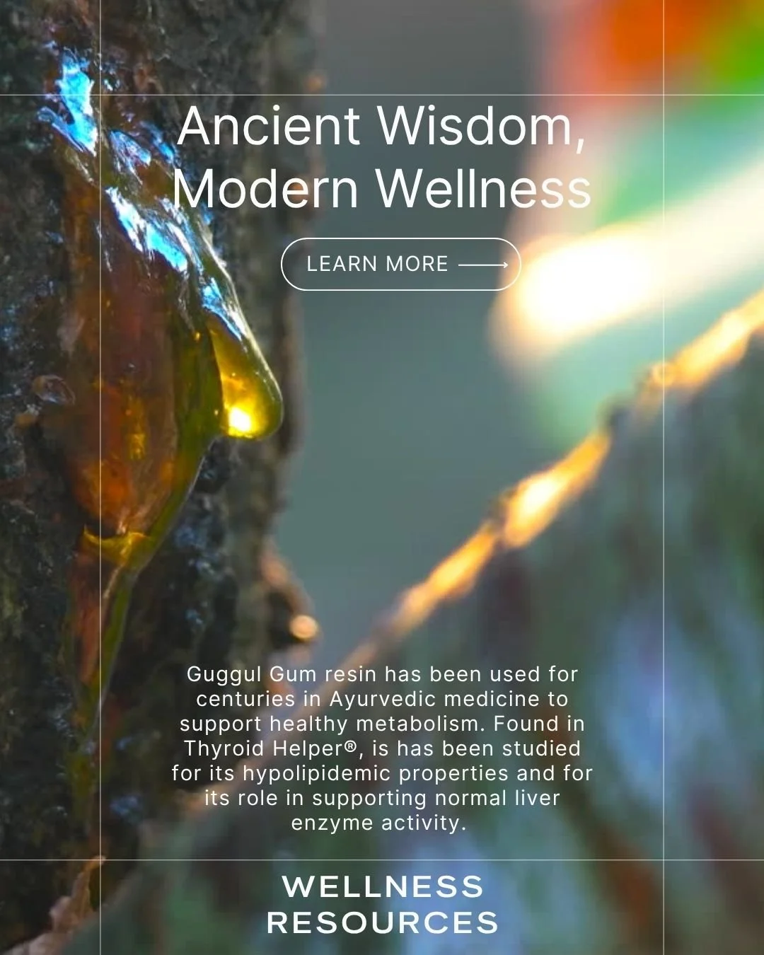 REFORM - Social Media Kit by Studio Dara (20).jpg