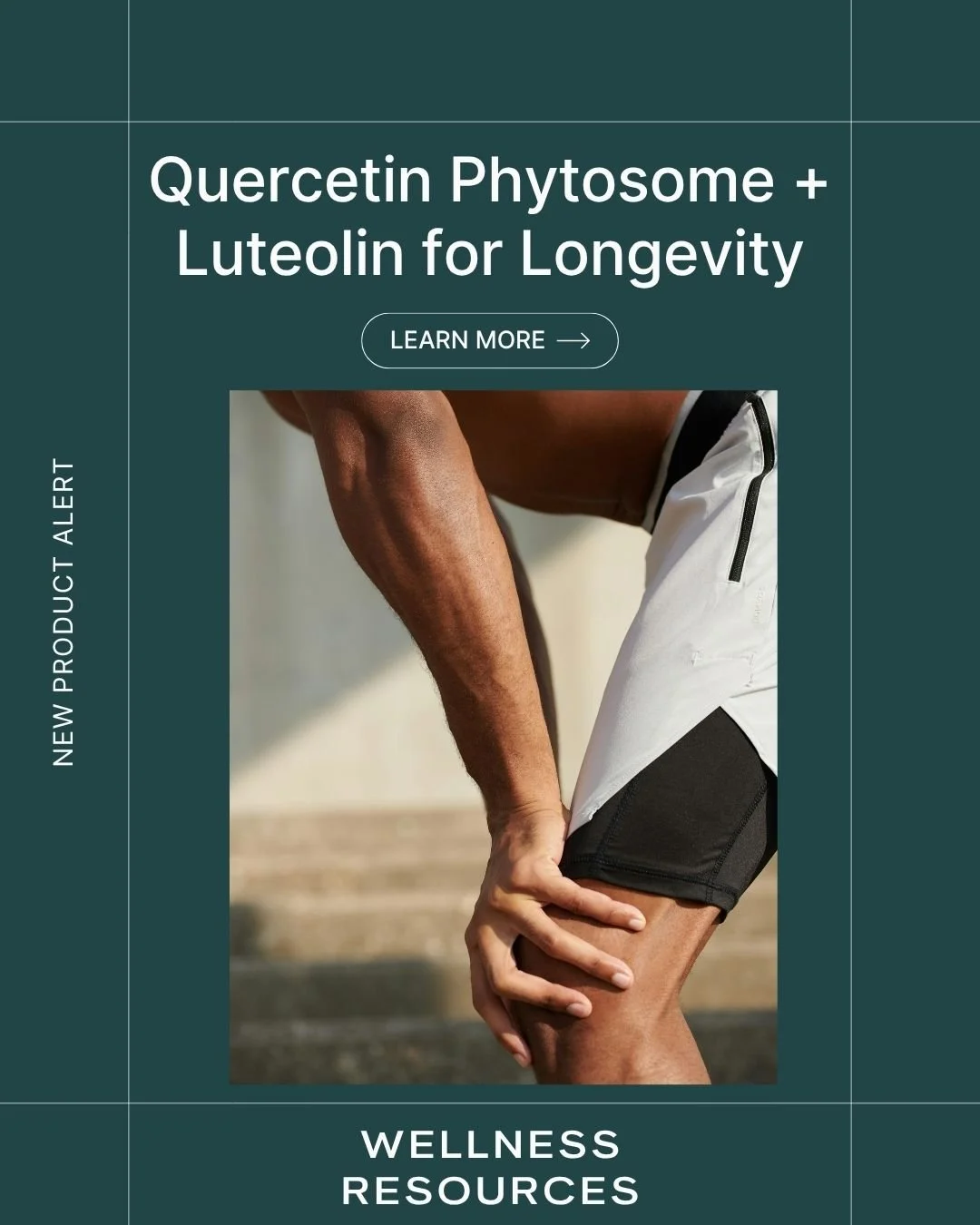 REFORM - Social Media Kit by Studio Dara (93).jpg