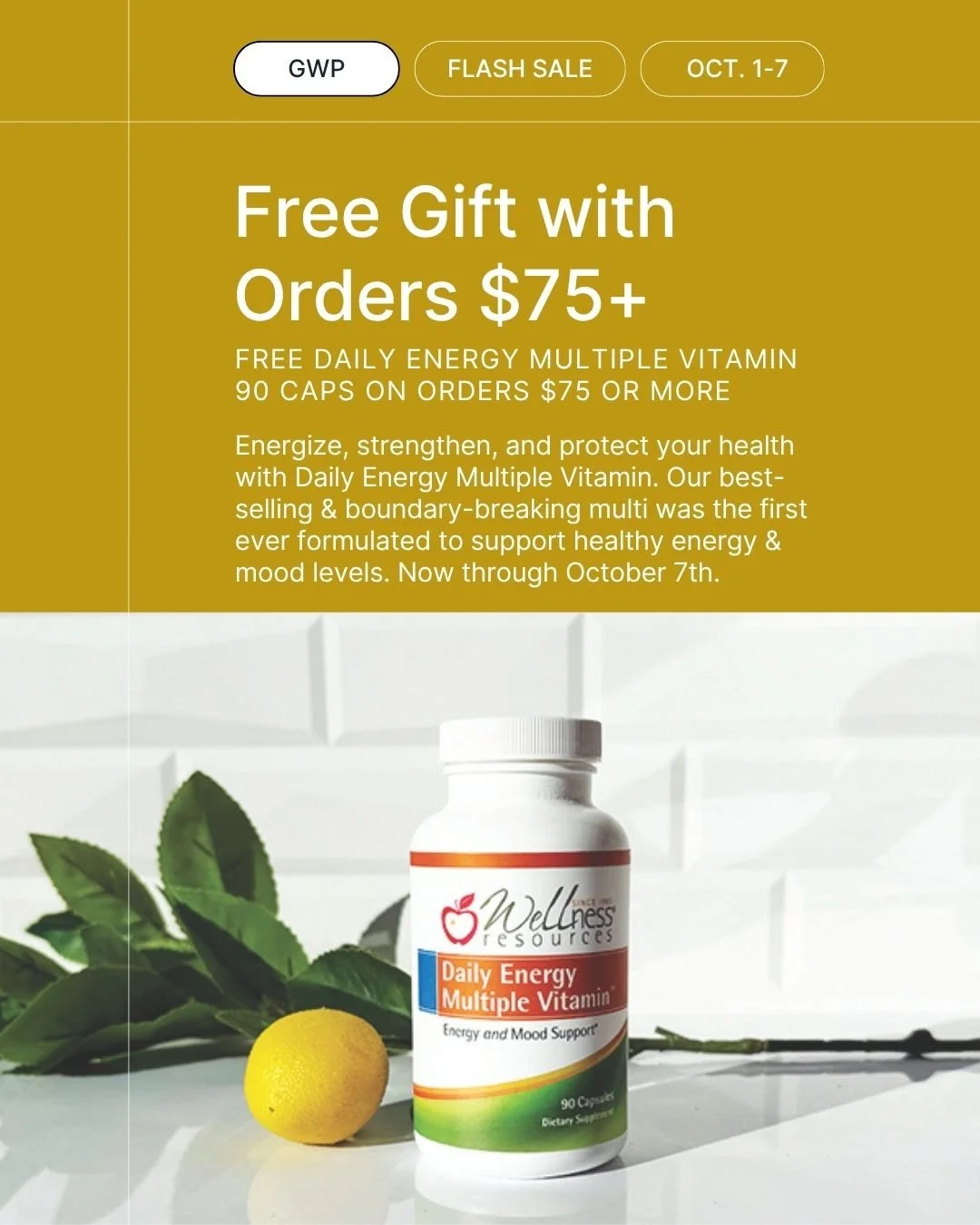 REFORM - Social Media Kit by Studio Dara (98).jpg