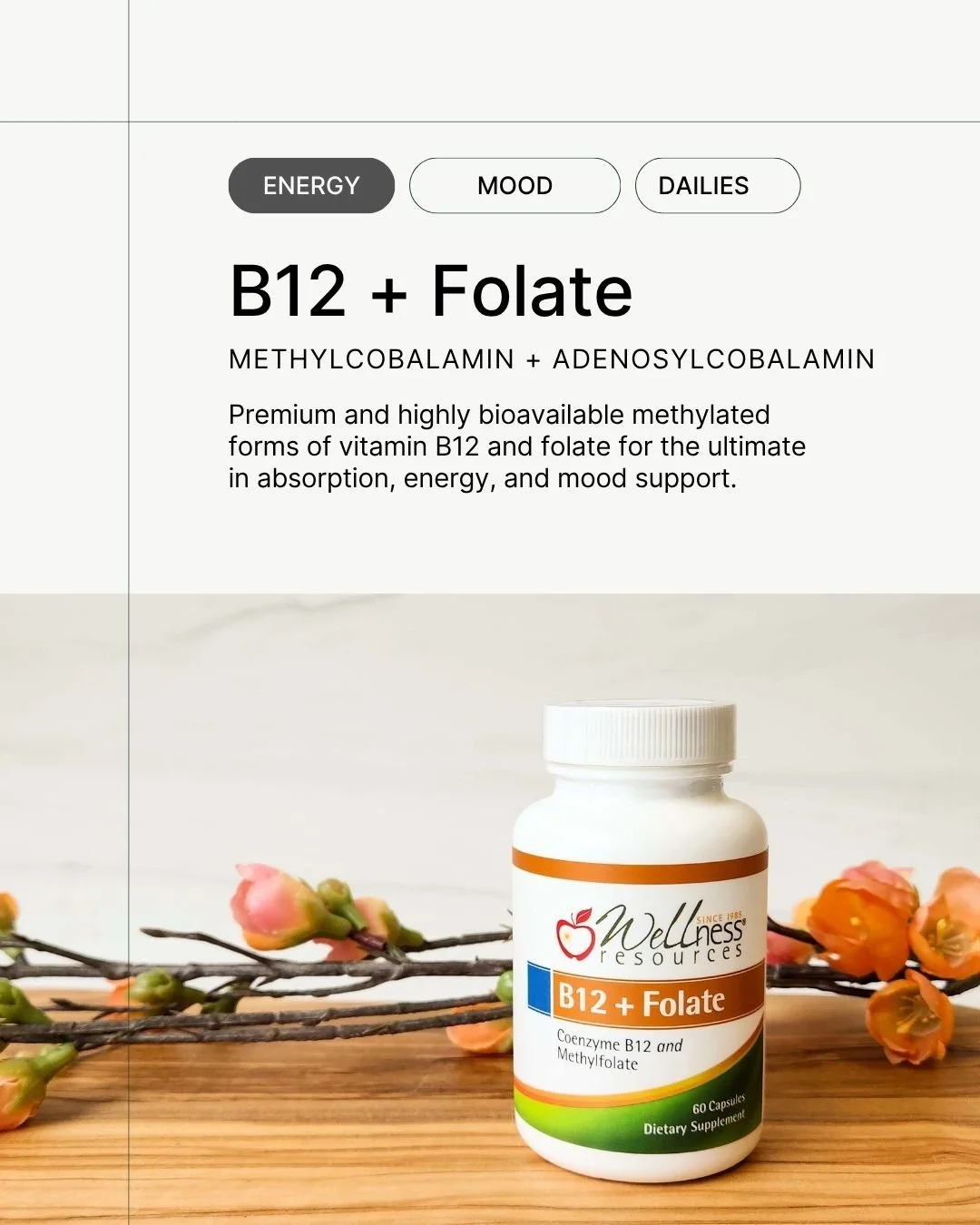 REFORM - Social Media Kit by Studio Dara (99).jpg