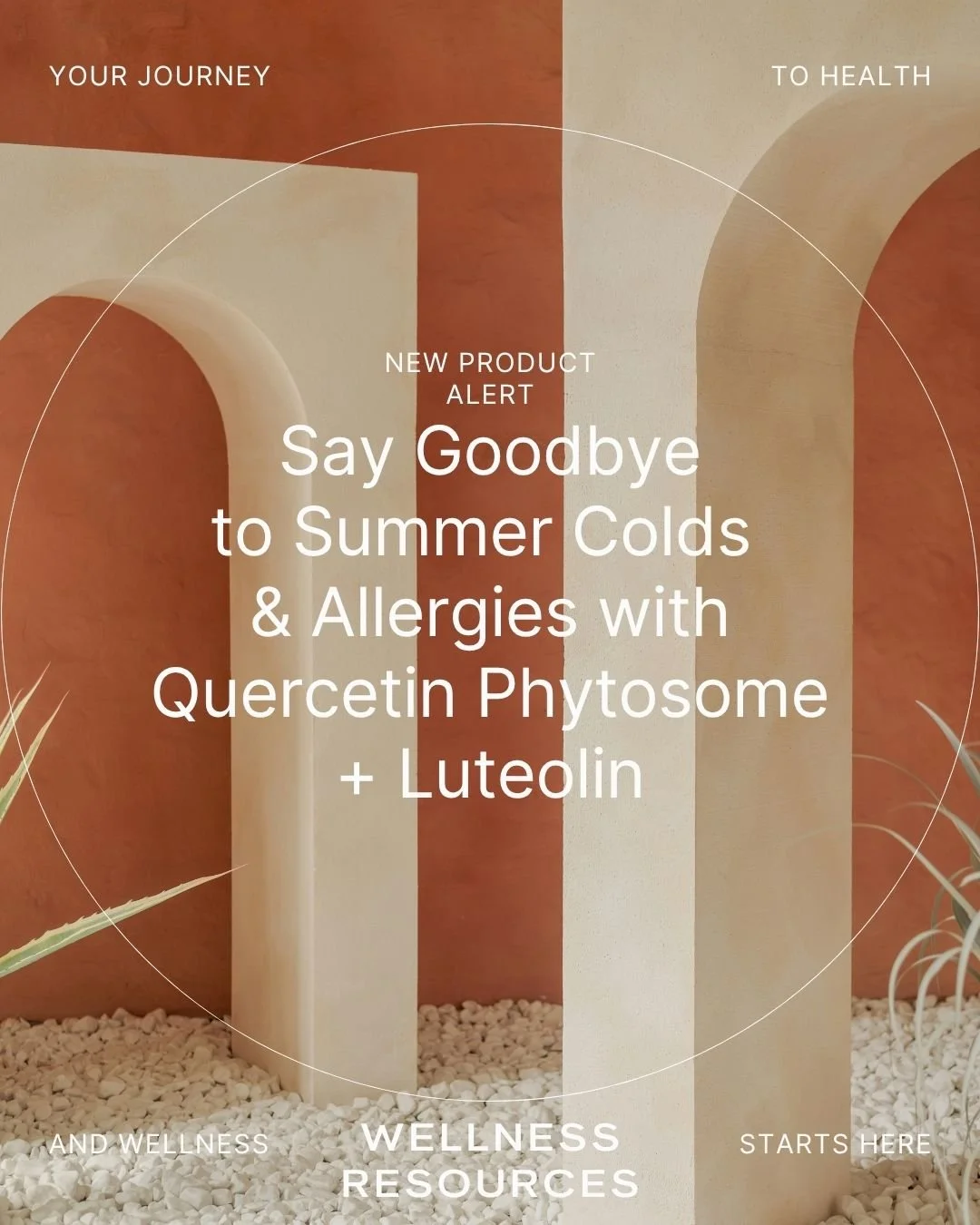 REFORM - Social Media Kit by Studio Dara (75).jpg