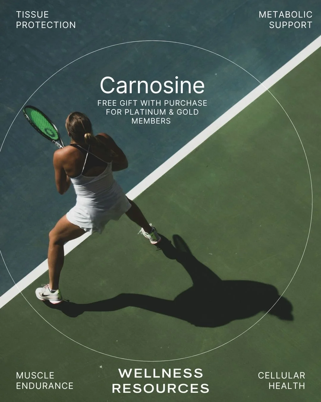 REFORM - Social Media Kit by Studio Dara (76).jpg