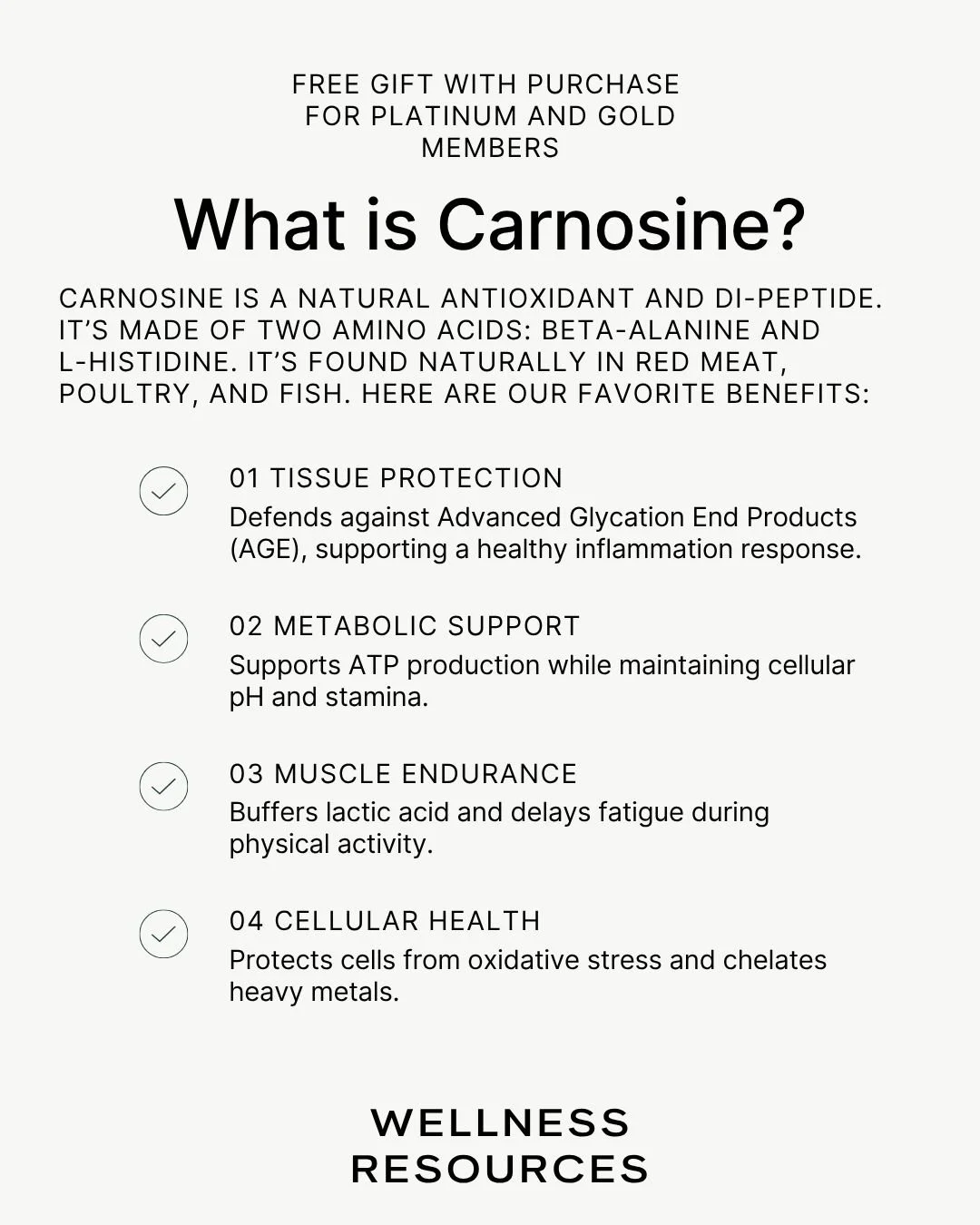 REFORM - Social Media Kit by Studio Dara (78).jpg