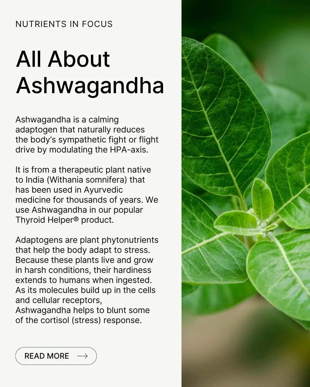 REFORM - Social Media Kit by Studio Dara (81).jpg