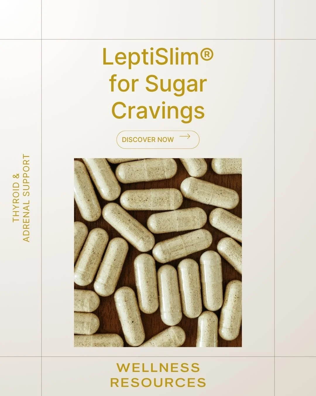 REFORM - Social Media Kit by Studio Dara (92).jpg