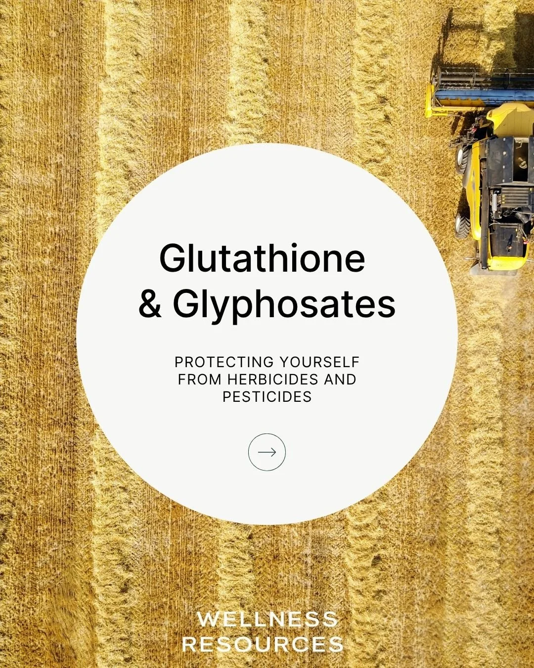 REFORM - Social Media Kit by Studio Dara (65).jpg