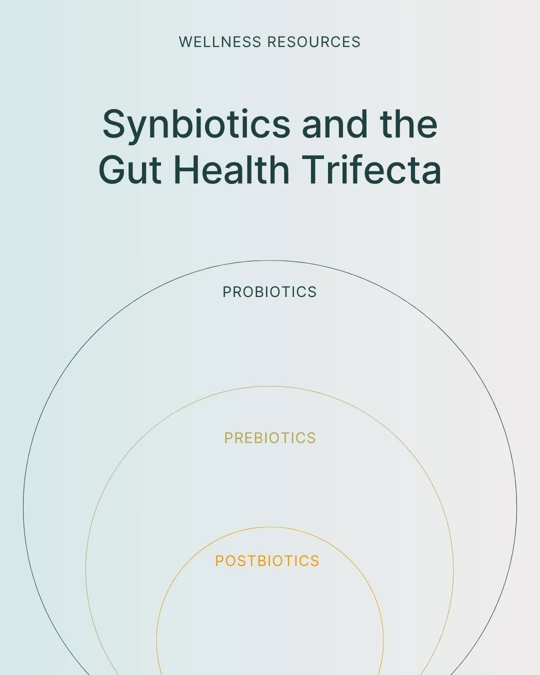 REFORM - Social Media Kit by Studio Dara (30).jpg