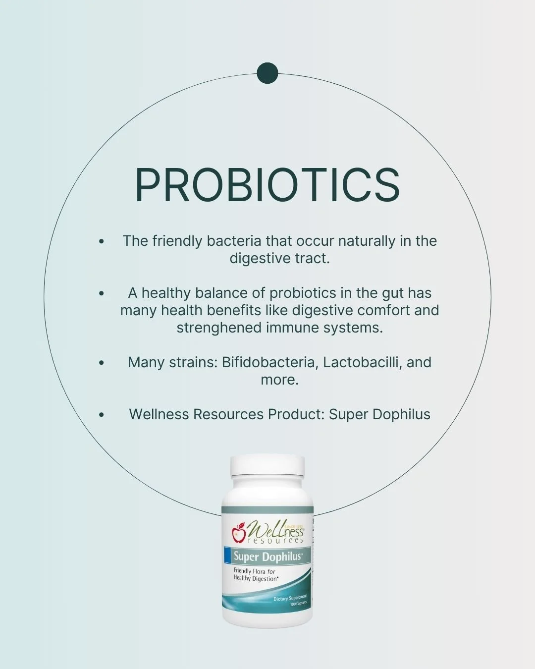 REFORM - Social Media Kit by Studio Dara (31).jpg