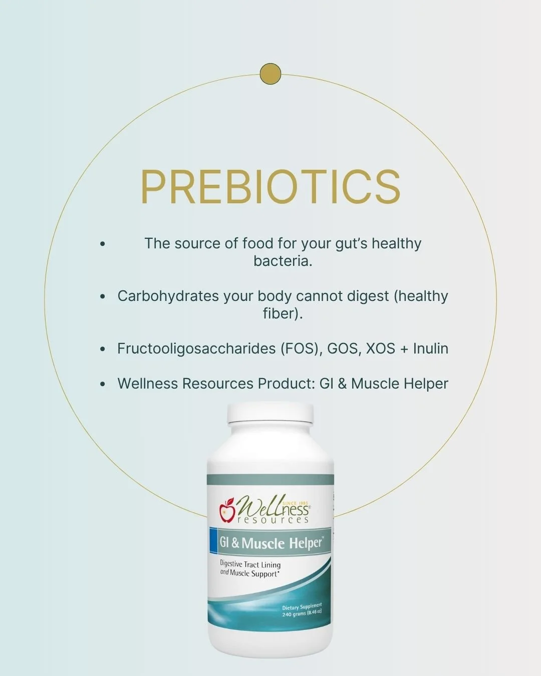 REFORM - Social Media Kit by Studio Dara (32).jpg