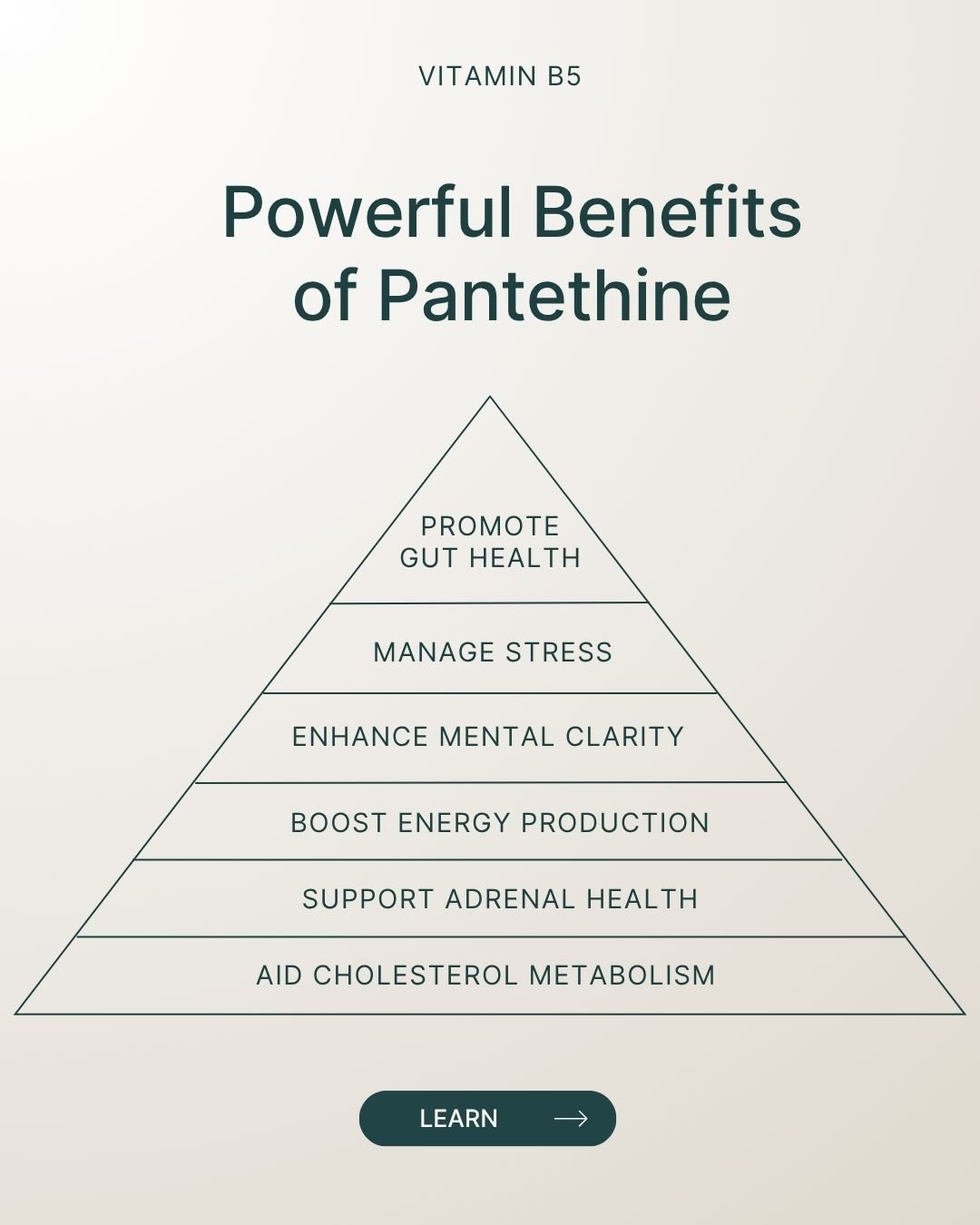 REFORM - Social Media Kit by Studio Dara (39).jpg