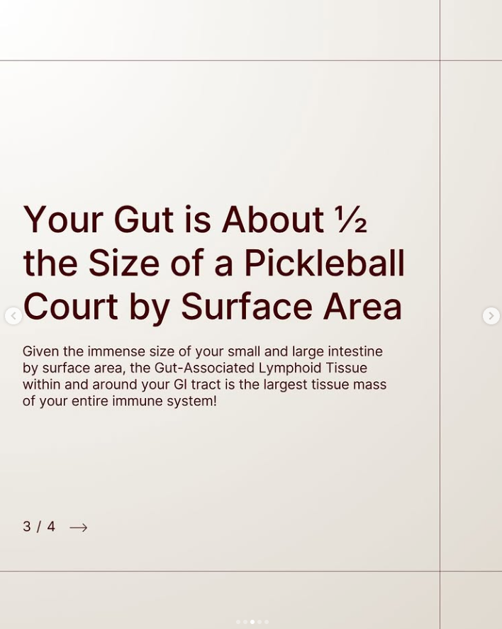 Screenshot 2026-01-28 151339.png