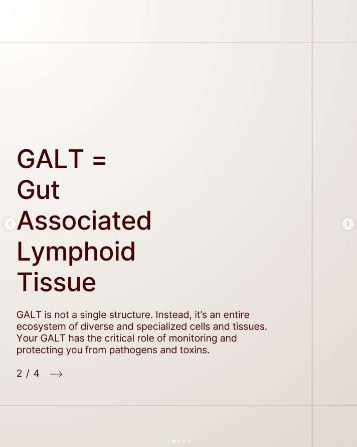 Screenshot 2026-01-28 151317.png