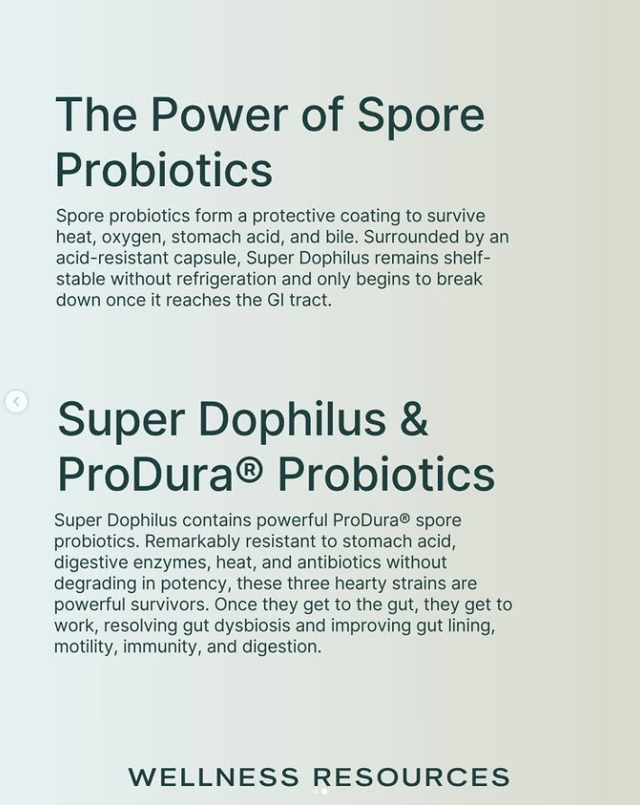 Screenshot 2026-01-28 161911.png