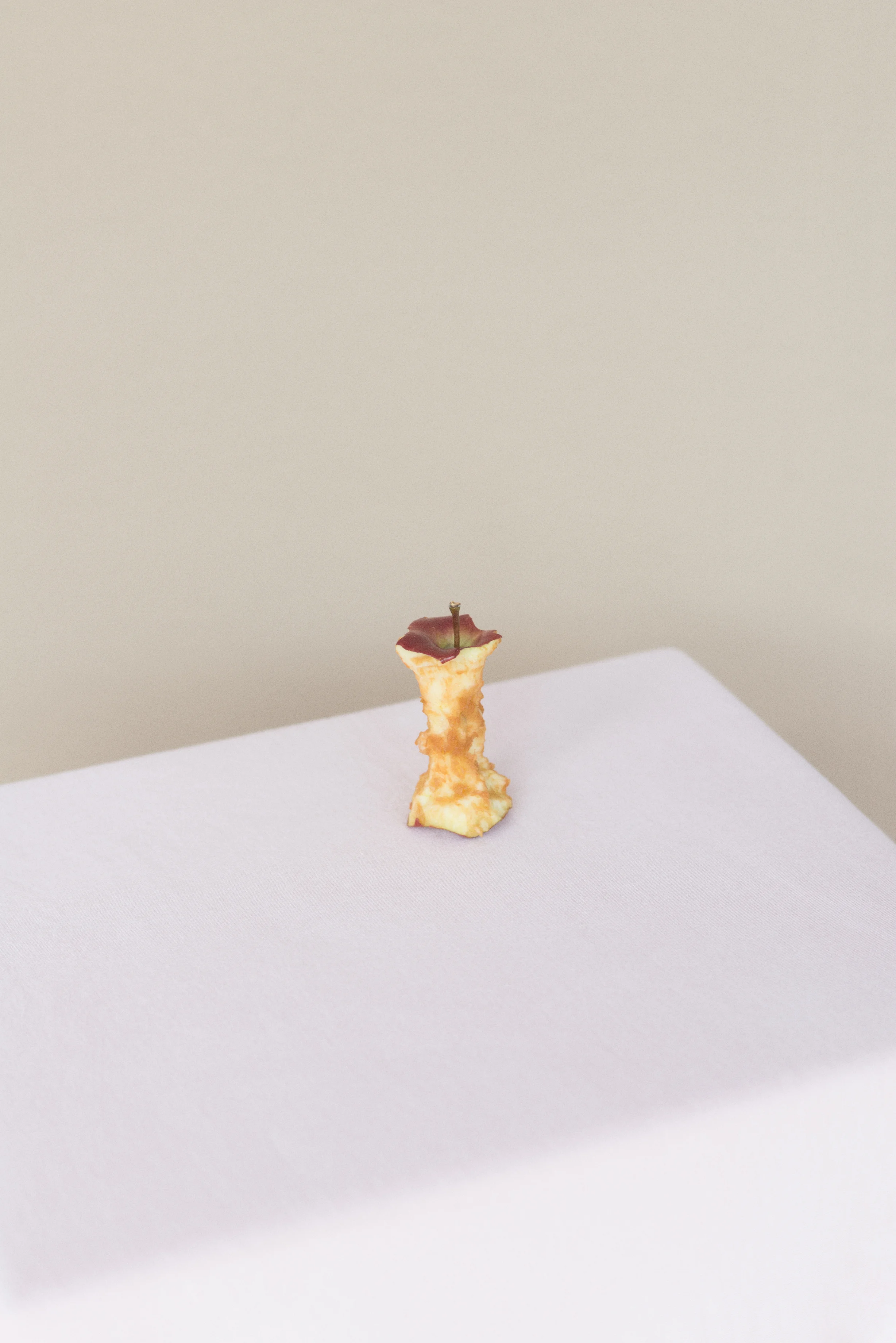 dominik_tarabanski_-_kinfolk_making_believe_09.jpg