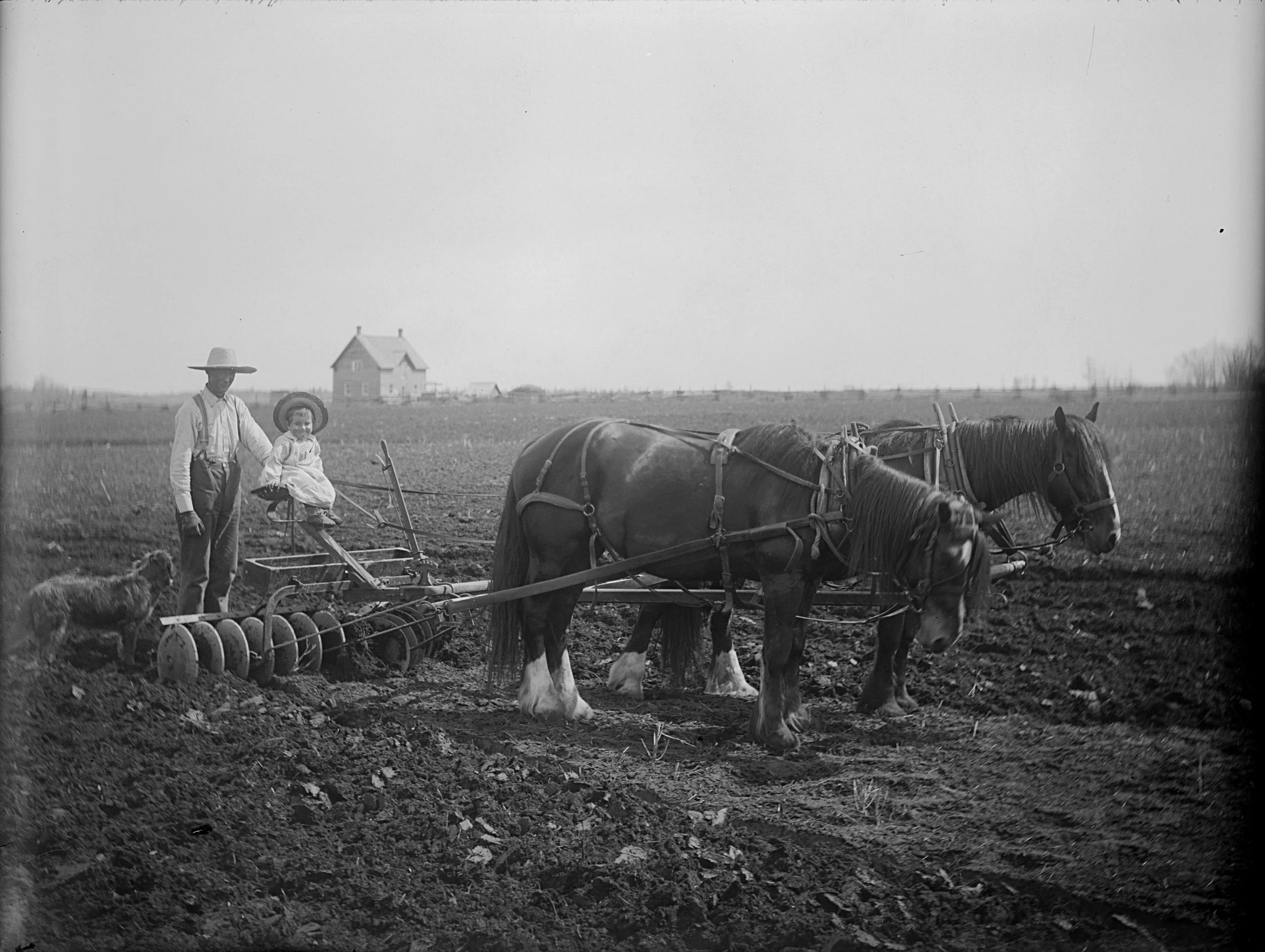 Robert_Brebner_with_son_(Robert-)_with_plow_team_(18119851693).jpg