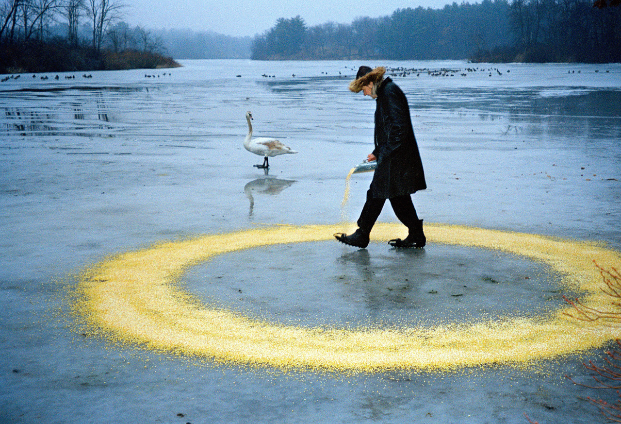 Valda-249AStreet-walking_with_swans.jpeg