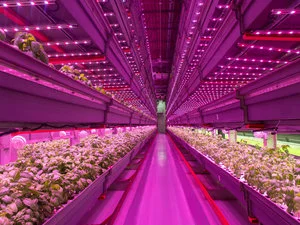 aquaponics.jpg