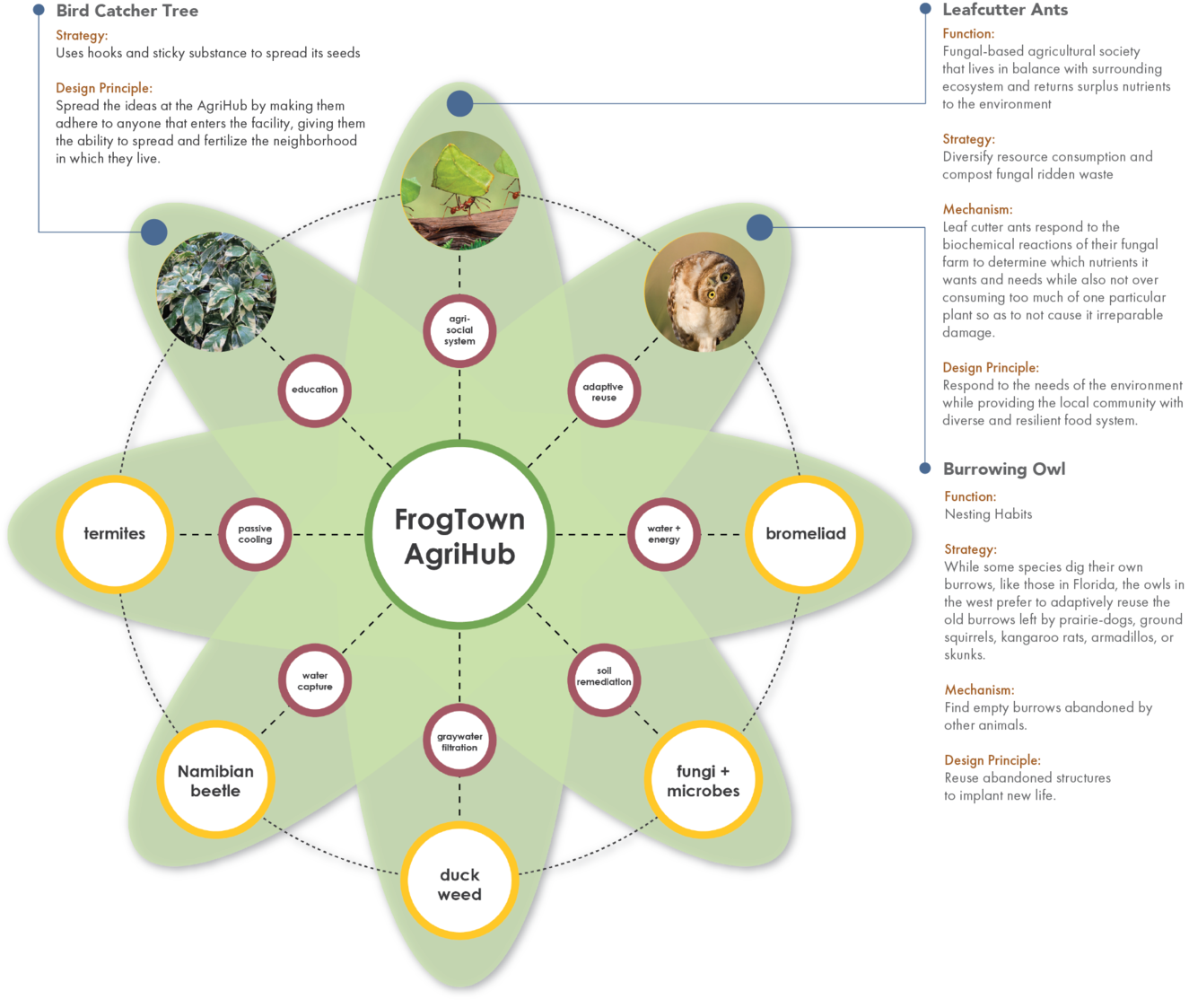 Biomimicry+Flower.png