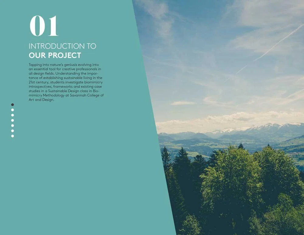 Biomimicry-ProcessBook-Winter2018-4.jpg