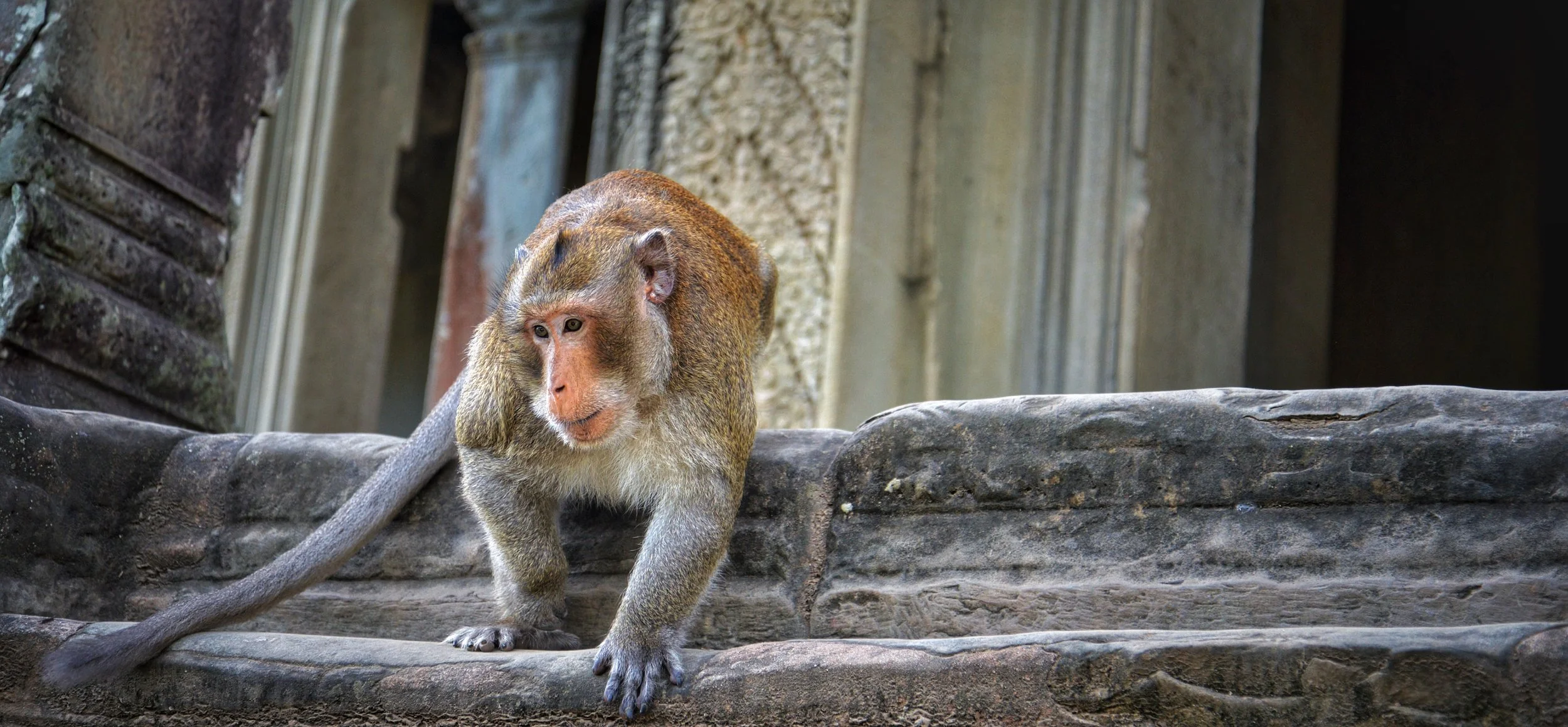 File Dec 08, 3 59 51 PM.jpeg