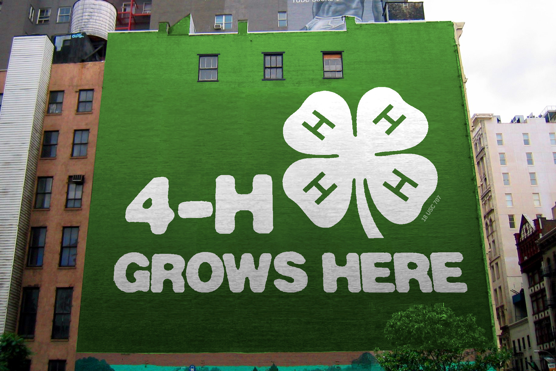 Large building side mural for 4H national.