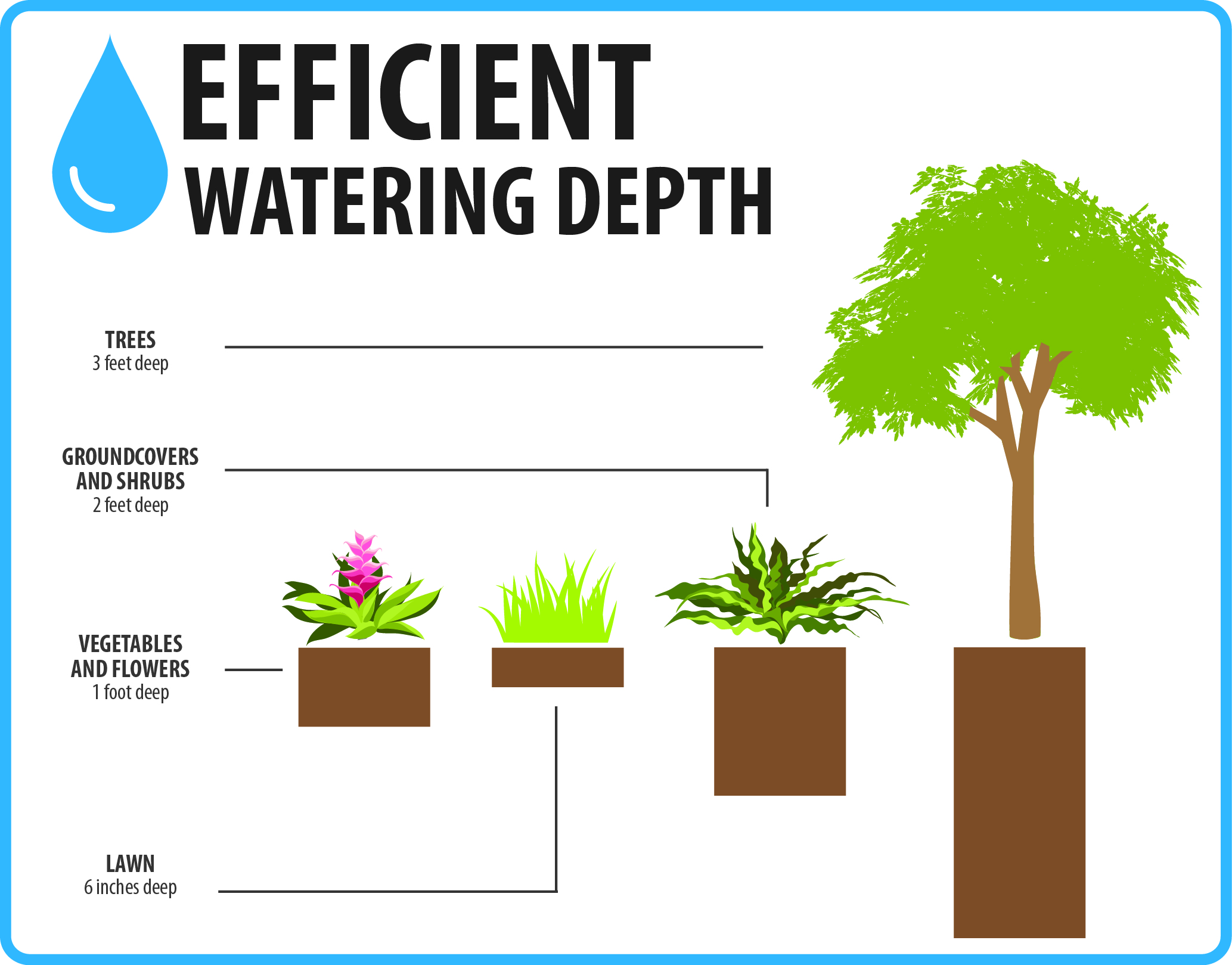 Efficient-Watering-Depth-pg24.jpg