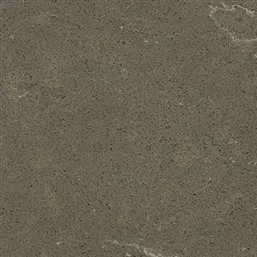 Fossil Brown