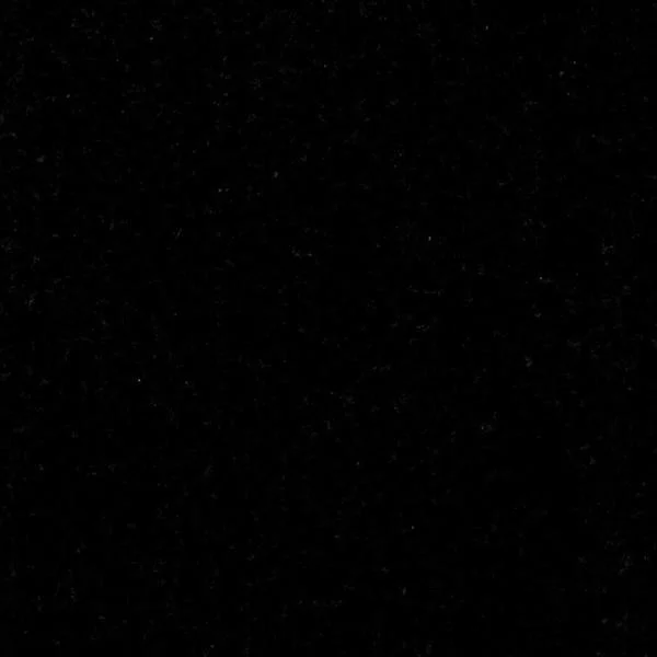 Black Absolute
