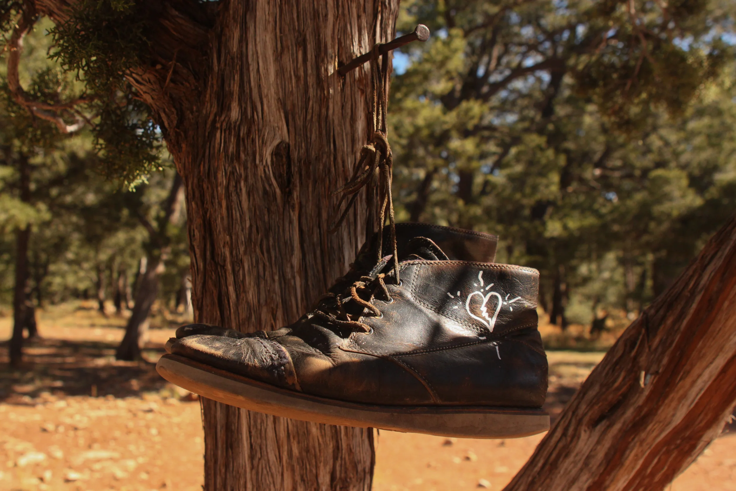 boots_8147061791_o.jpg